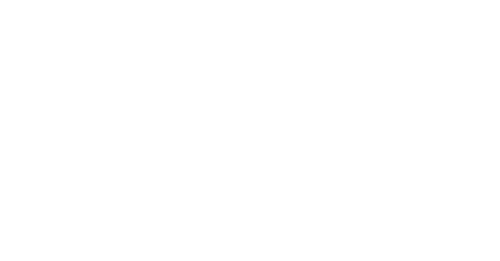 Michael-Damianos-&-Co-logo